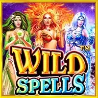 WILD SPEELS